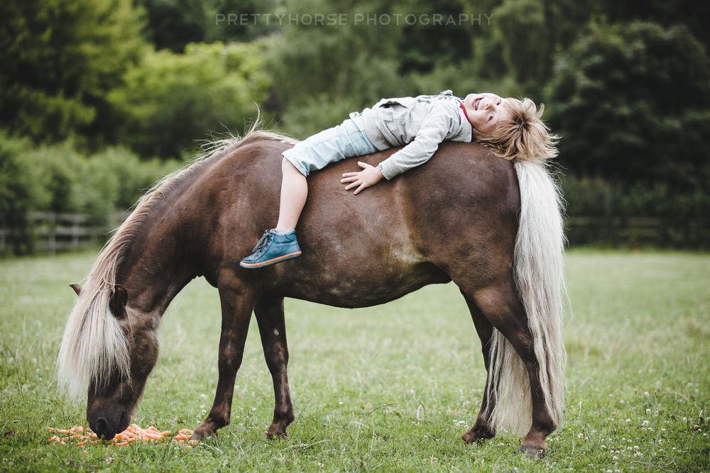 Лежа на коне. Лошадь лежит. Фотосессия с лошадьми дети. Лежачая лошадь.